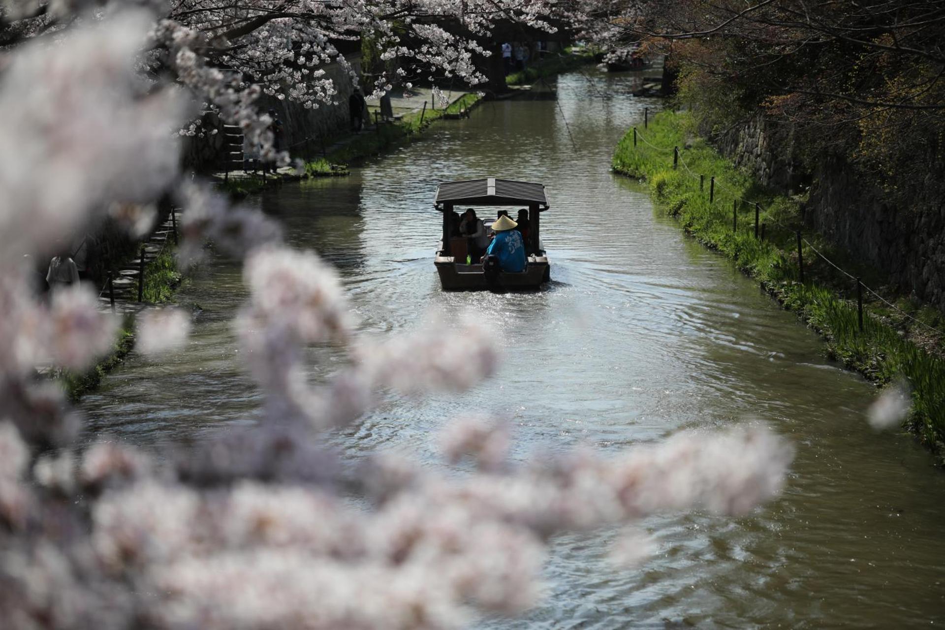ゲストハウス桜 Guest House Sakura 便利な立地 貸し切り Омі-Хачіман Екстер'єр фото